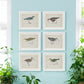 Coastal Bird Print in White Wood Frame - 18-in - Mellow Monkey