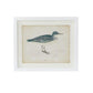 Coastal Bird Print in White Wood Frame - 18-in - Mellow Monkey