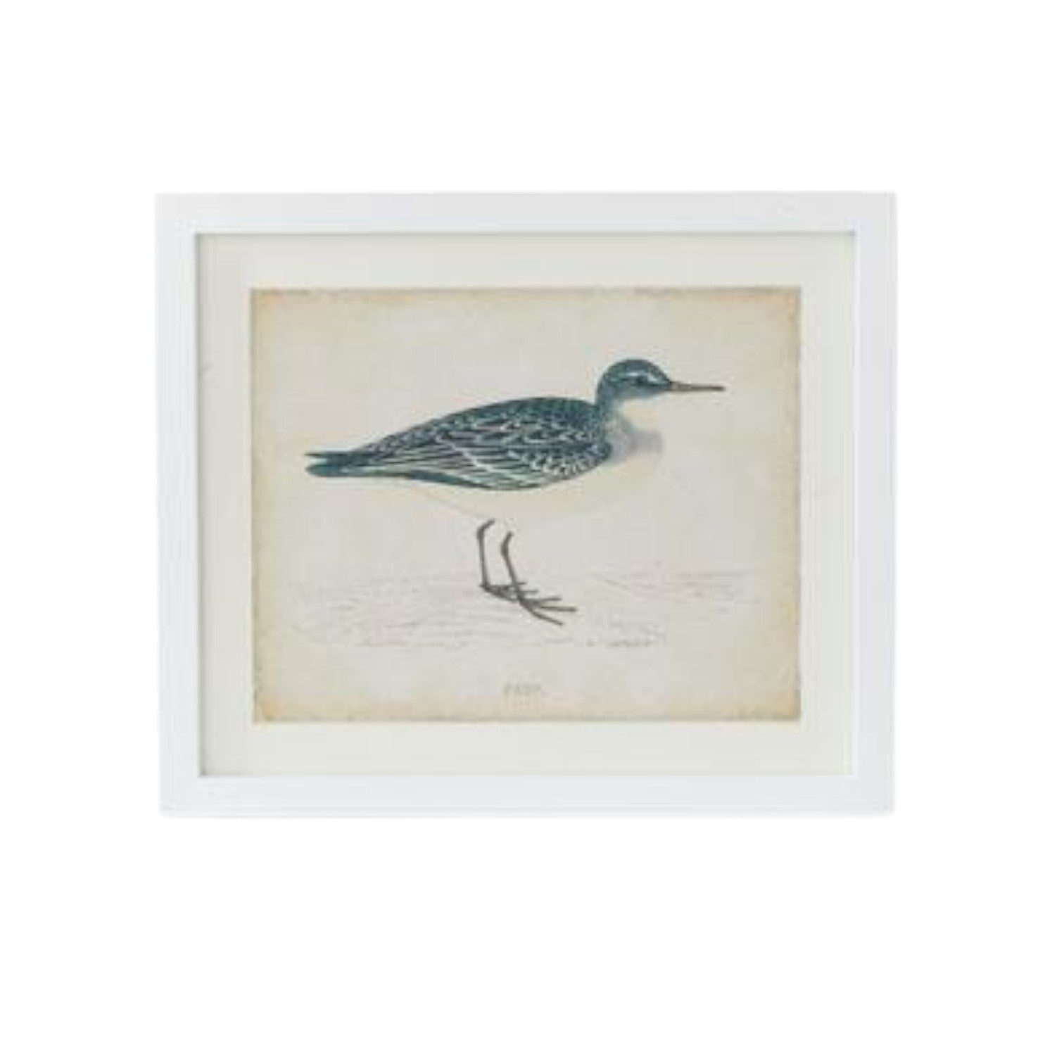 Coastal Bird Print in White Wood Frame - 18-in - Mellow Monkey