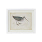 Coastal Bird Print in White Wood Frame - 18-in - Mellow Monkey