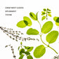 Frosted Mint - Power Mist Hydrating Hand Sanitizer - Mellow Monkey