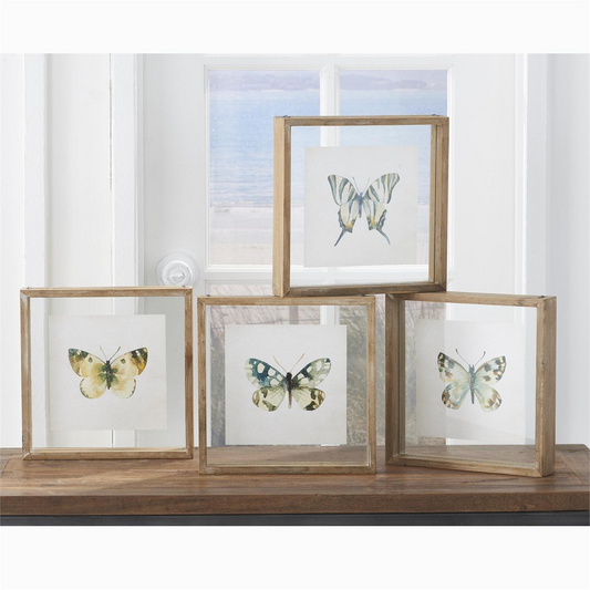 Shadowbox Framed Butterfly Print - 10-in Square - Mellow Monkey