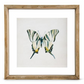 Shadowbox Framed Butterfly Print - 10-in Square - Mellow Monkey