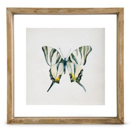 Shadowbox Framed Butterfly Print - 10-in Square - Mellow Monkey