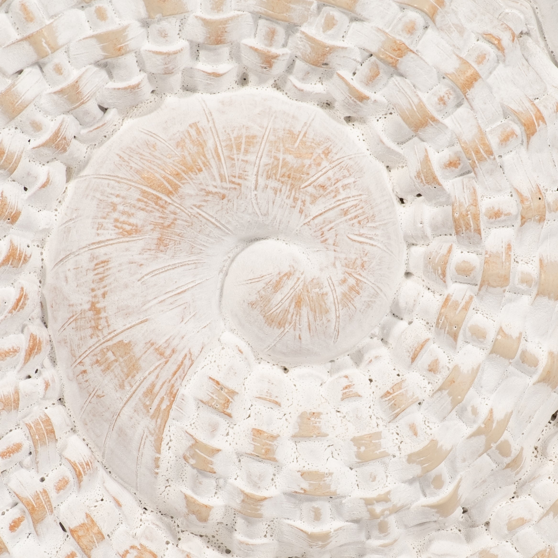 Woven Seashell Statue - White - 12-in – Mellow Monkey