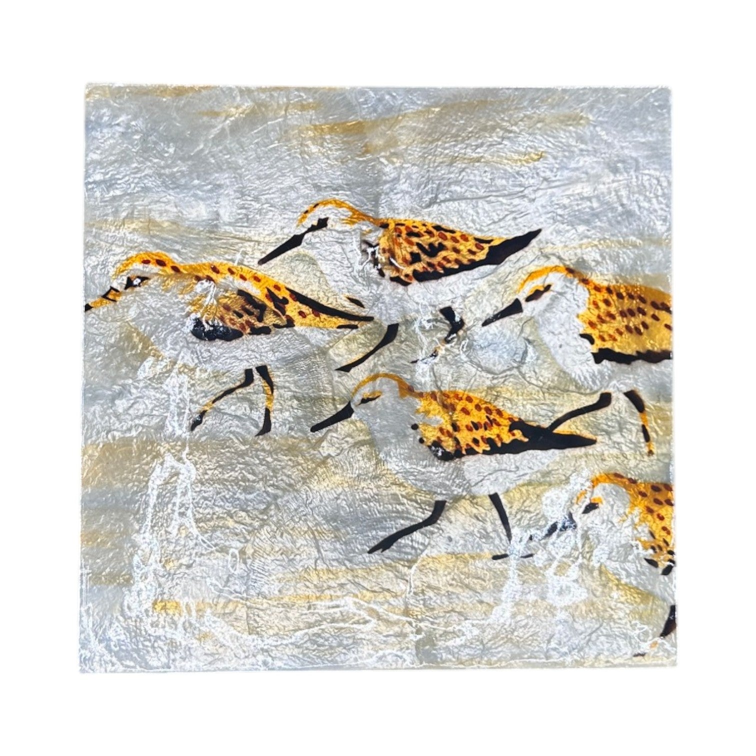 Capiz Sandpiper - Square Trinket Tray - 5-in - Mellow Monkey