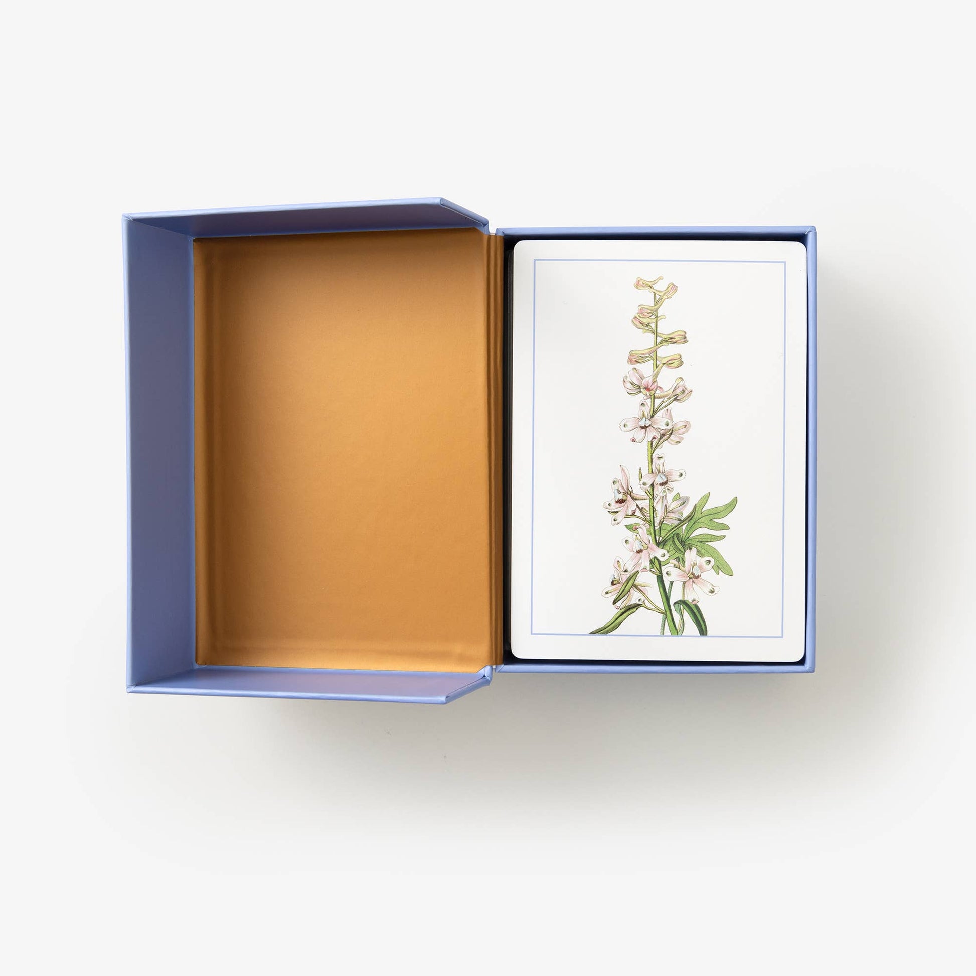 New York Botanical Garden Wildflower ID Flashcards - Mellow Monkey