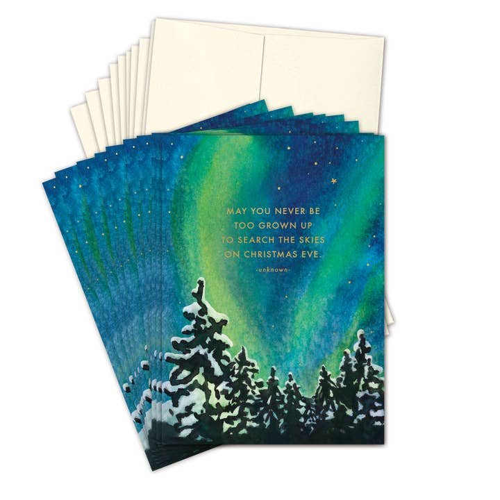 Search the Skies Boxed Holiday Cards - Set of 10 - Mellow Monkey