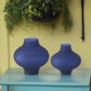 Cobalt Frosted Saucer Vase - Mellow Monkey