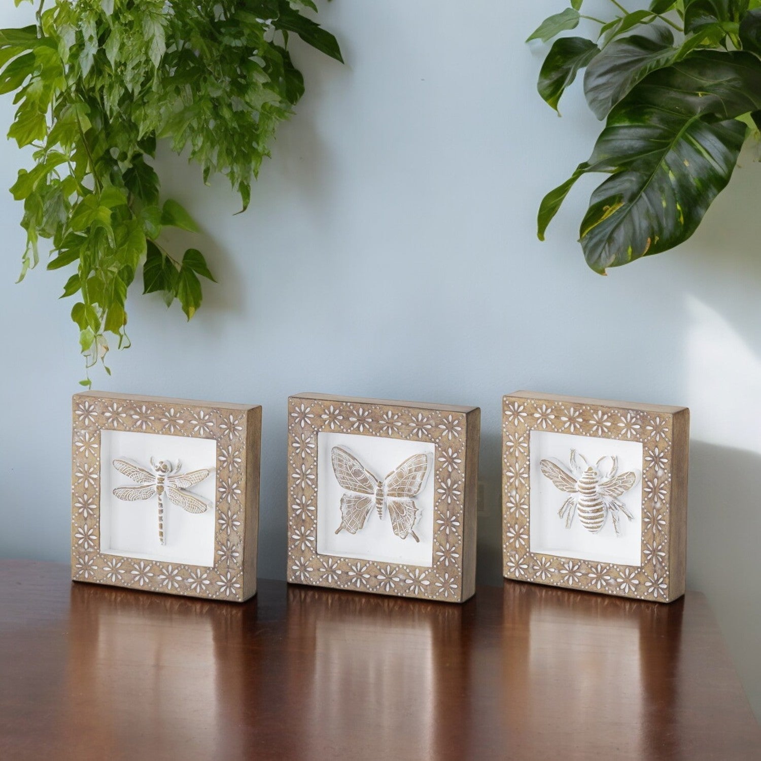 Whitewashed Carved Resin Insect Shadow Box - 6-in - Mellow Monkey