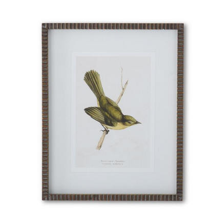 Ribbed Brown Wood Framed Bird Print - 19-3/4-in - Mellow Monkey