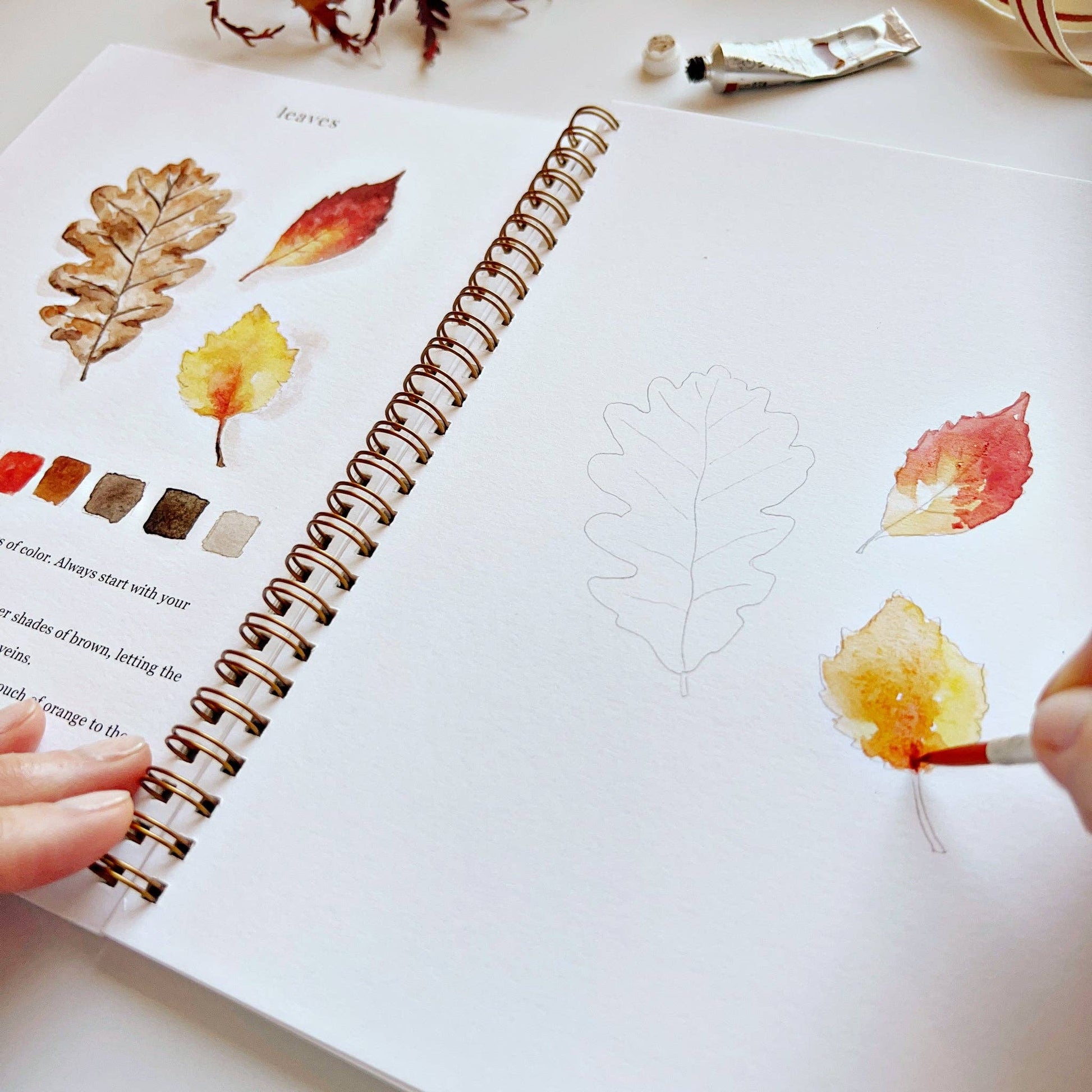 Autumn - Watercolor Workbook - Mellow Monkey