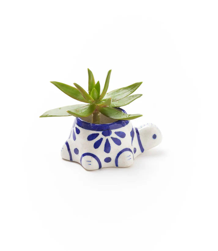 Lalita Baby Turtle Mini Succulent Planter - 3.5" x 2.5" - Mellow Monkey