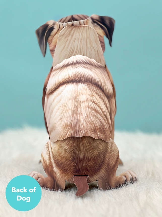 Pug - Freshcut Pop-Up Pet Greeting Cards - Mellow Monkey