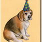 Dog With Party Hat - Chubby Beagle - Greeting Card - Mellow Monkey