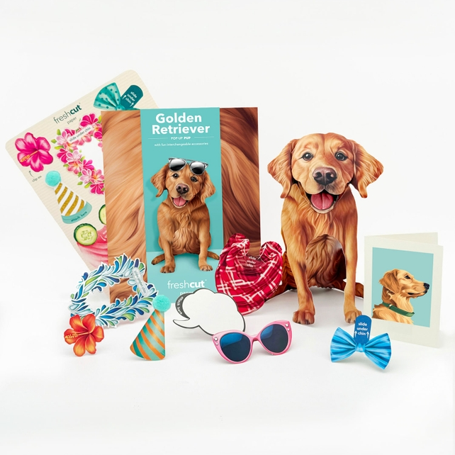 Golden Retriever - Freshcut Pop-Up Pet Greeting Cards - Mellow Monkey