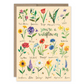 You're A Wildflower - Birthday Greeting Card - Mellow Monkey