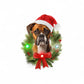 Boxer LED Ornament - Mellow Monkey
