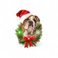 Bulldog LED Ornament - Mellow Monkey