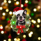 French Bulldog LED Ornament - Mellow Monkey