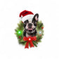 French Bulldog LED Ornament - Mellow Monkey
