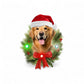 Golden Retreiver LED Ornament - Mellow Monkey