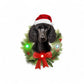 Poodle LED Ornament - Mellow Monkey