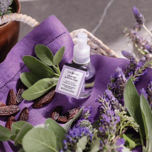 Lavender & White Sage - WallScents Fragrance Oil - 24-mL Refill - Mellow Monkey