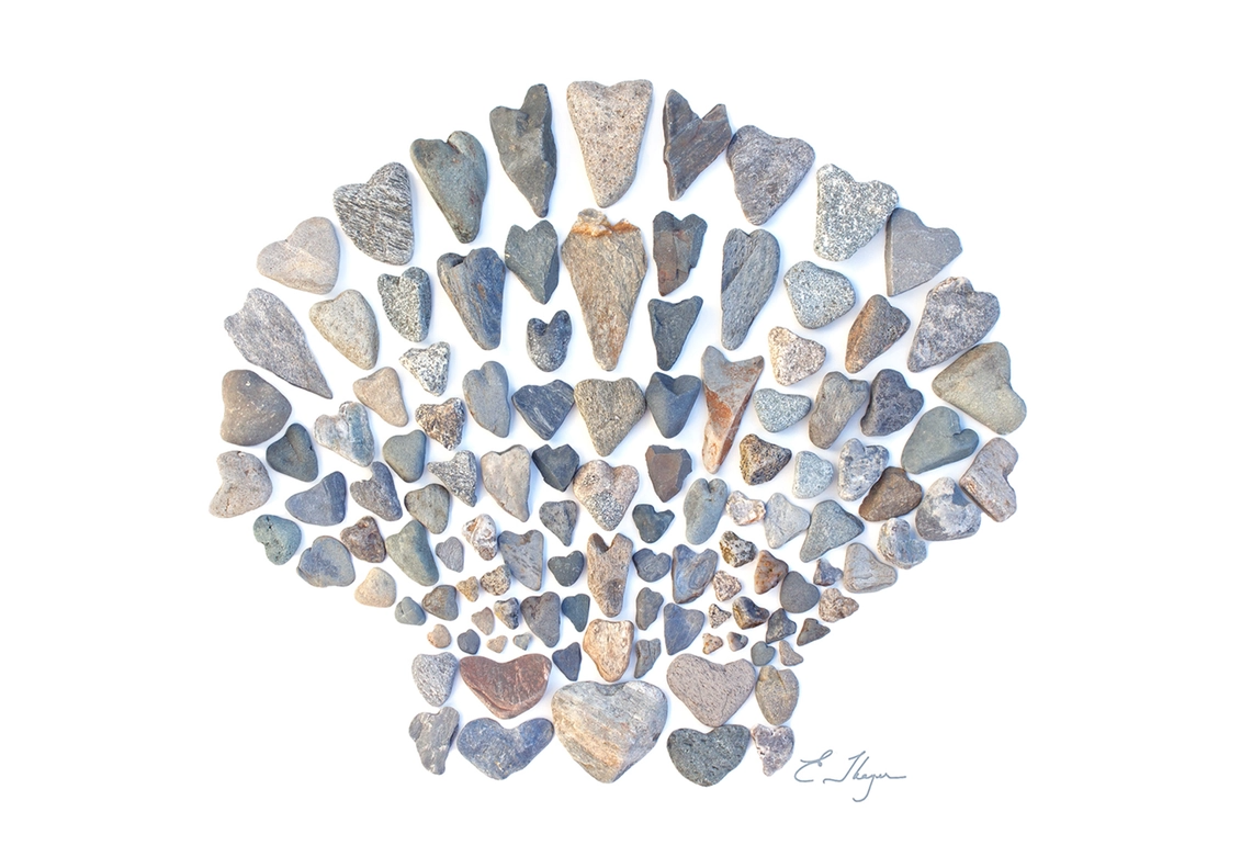 Scallop Shell - Heart Shaped Beach Rocks Print - Mellow Monkey