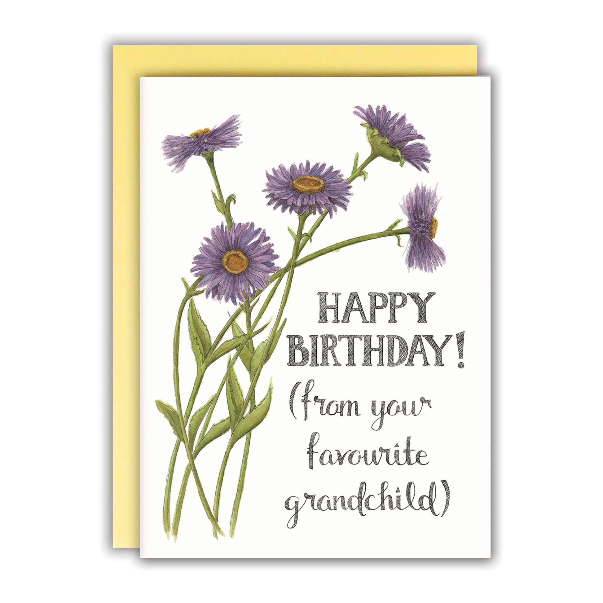 Happy Birthday (From Your Favourite Grandchild) Card - Mellow Monkey