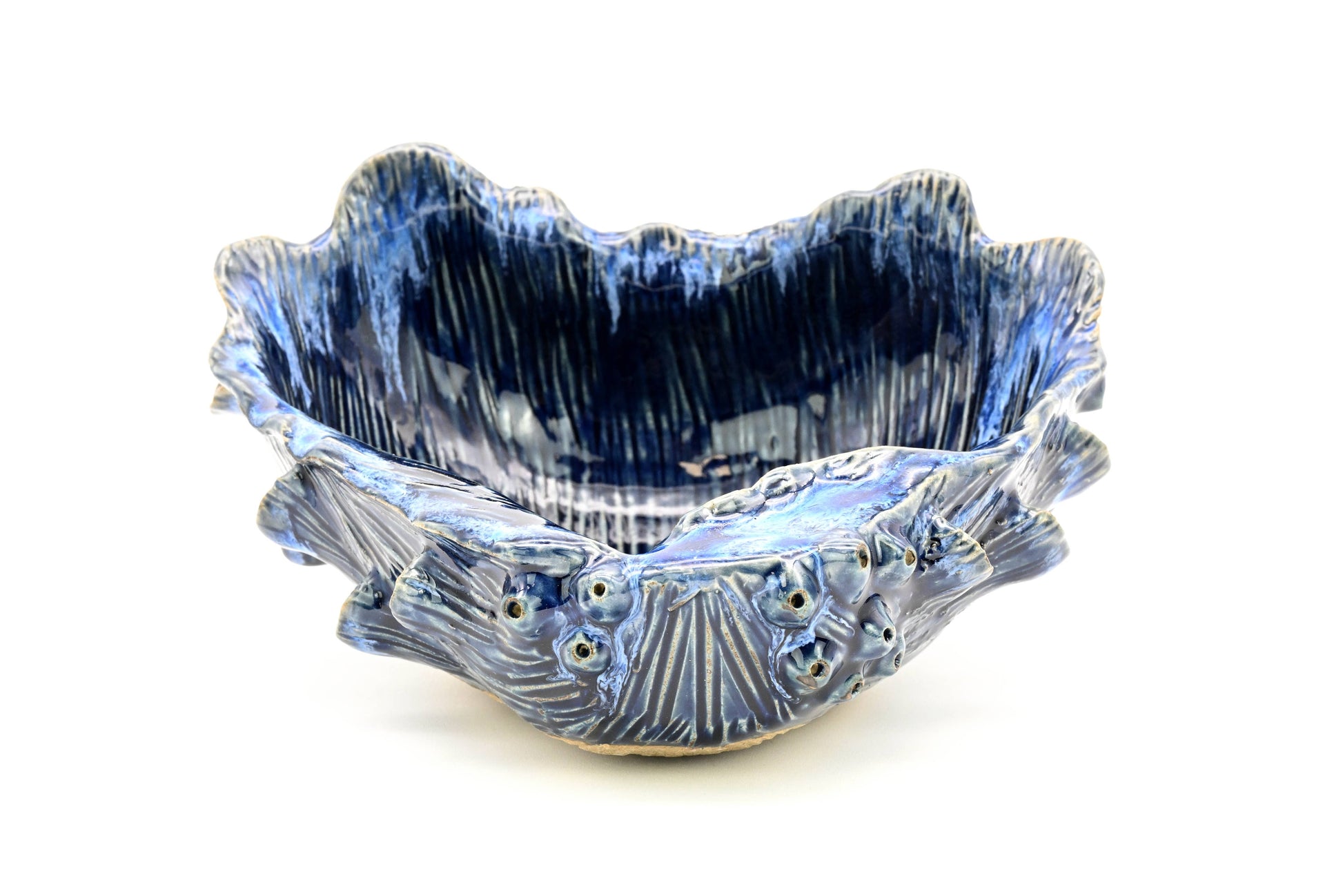 Giant Clam Ceramic Vase with Blue Effect - 9.5 x 8.9 x 4.6-in - Mellow Monkey