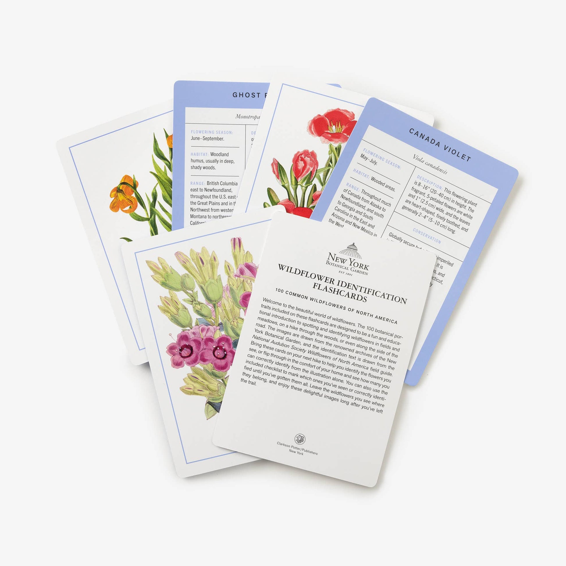 New York Botanical Garden Wildflower ID Flashcards - Mellow Monkey