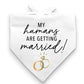Pet Bridal Bandana | My Humans Are Getting Married - Mellow Monkey