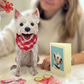Westie - Freshcut Pop-Up Pet Greeting Cards - Mellow Monkey