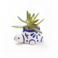 Lalita Baby Turtle Mini Succulent Planter - 3.5" x 2.5" - Mellow Monkey