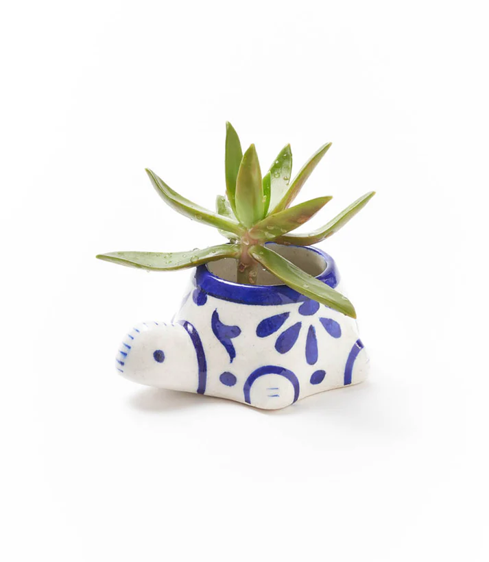 Lalita Baby Turtle Mini Succulent Planter - 3.5" x 2.5" - Mellow Monkey