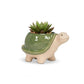 Sm Turtle Planter-Grn-3.5"H - Mellow Monkey