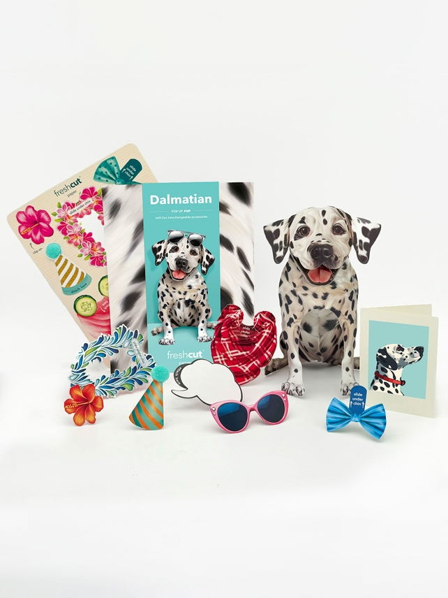 Dalmatian - Freshcut Pop-Up Pet Greeting Cards - Mellow Monkey