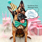 German Shepherd - Freshcut Pop-Up Pet Greeting Cards - Mellow Monkey