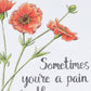 Sometimes You're a Pain in the Ass Card - Mellow Monkey