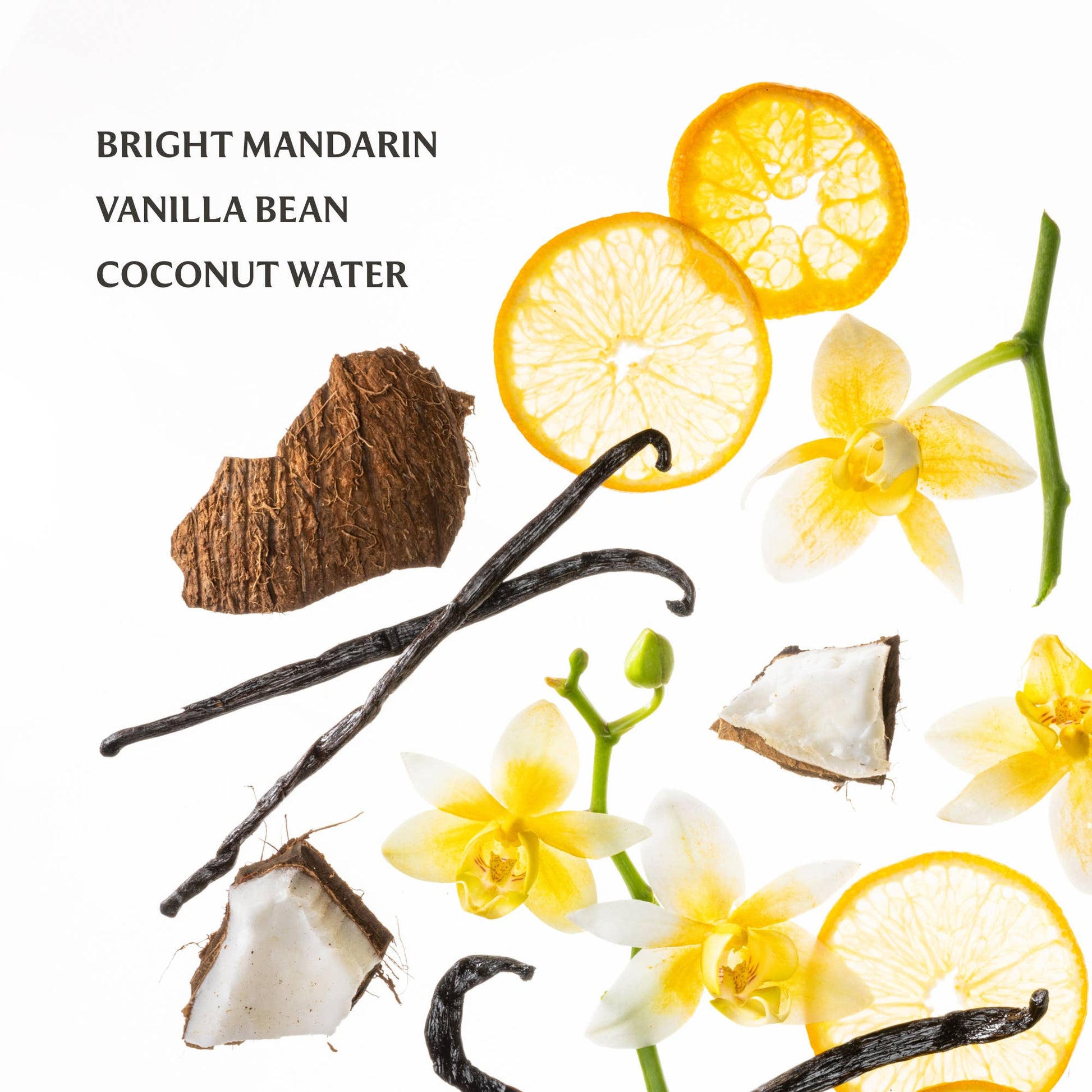 Vanilla Blossom - Power Mist Hydrating Hand Sanitizer - Mellow Monkey