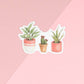 Potted Plants Sticker - Mellow Monkey