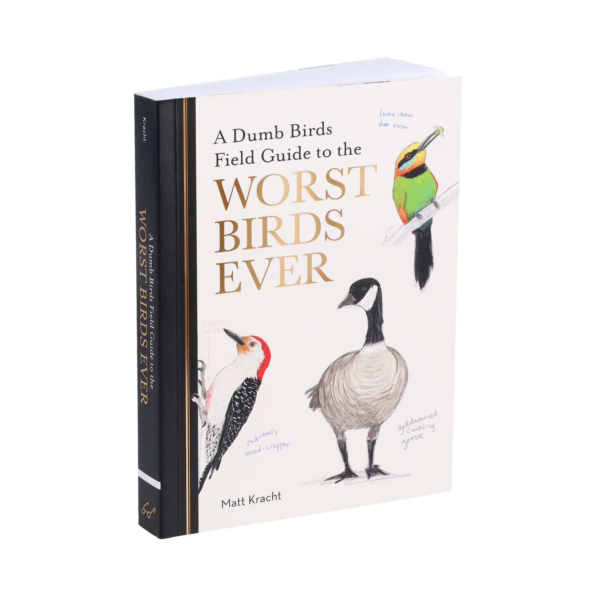 A Dumb Birds Field Guide to the Worst Birds Ever - Paperback - Matt Kracht - Mellow Monkey