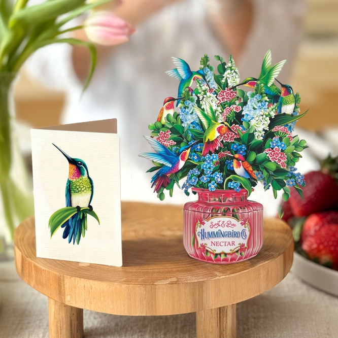 Mini Hummingbird Oasis - Mellow Monkey
