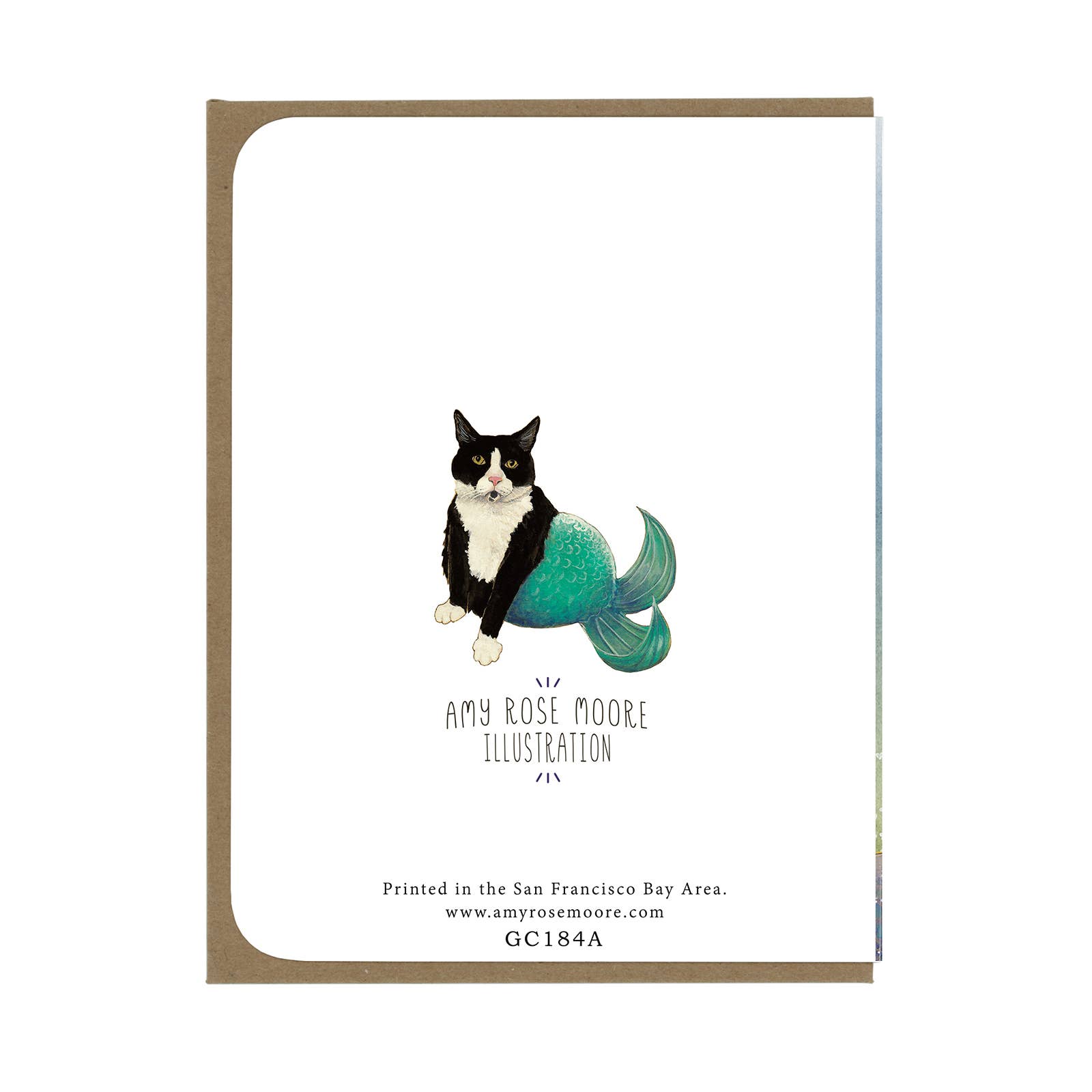 Happy Harbor Seal - Birthday Greeting Card - Mellow Monkey
