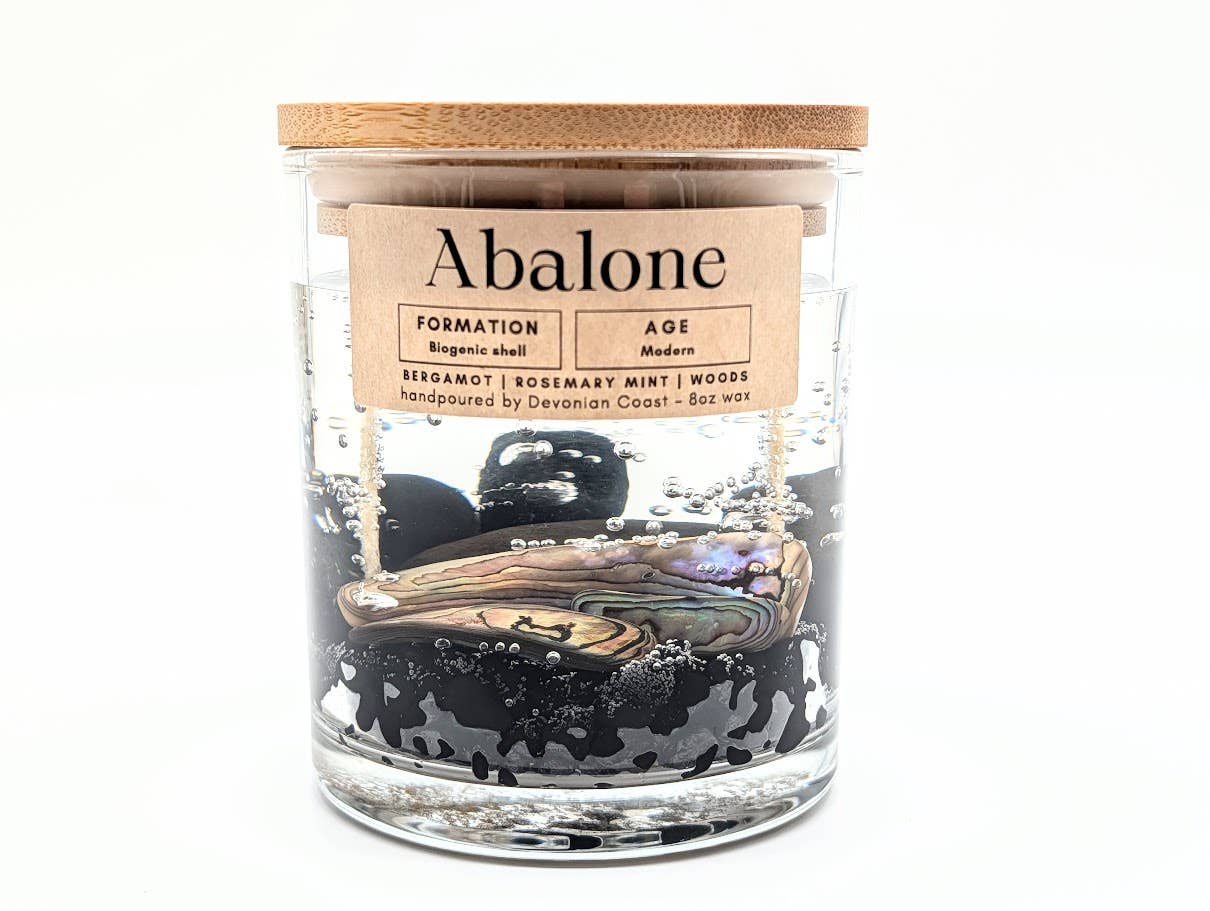 Abalone Shell Treasure - Double Wick Gel Candle - 8-oz - Mellow Monkey