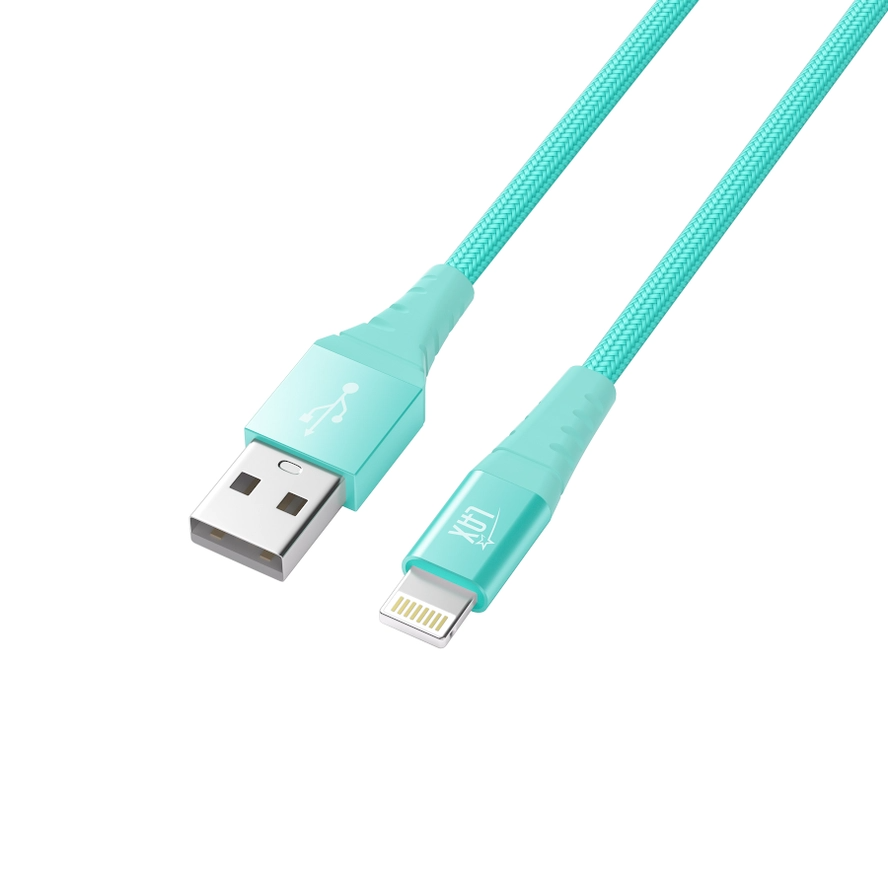Apple Mfi Certified Lightning Cable 4-ft USB to Lightning - Fast Charging & Syncing - Mint Green - Mellow Monkey