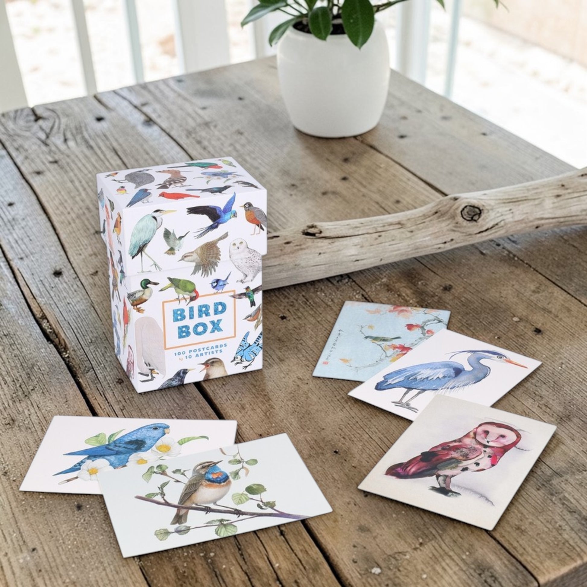 Bird Box - 100 Postcards from 10 Artists - Mellow Monkey