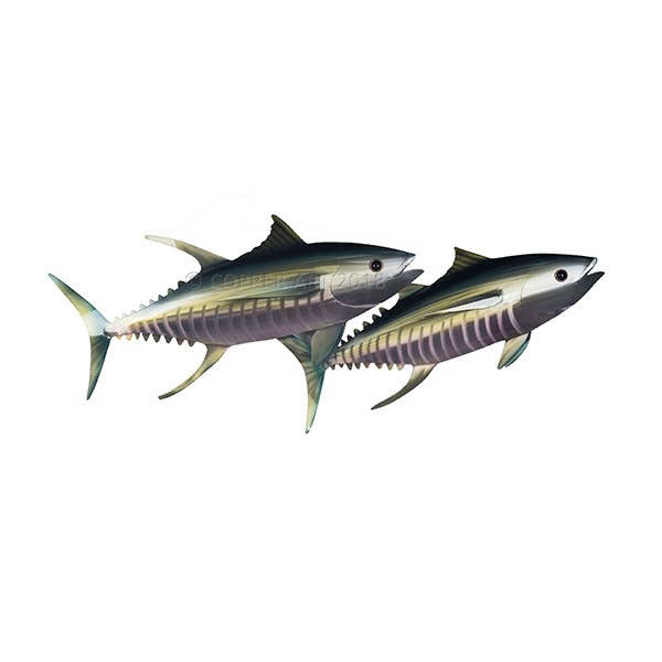Handmade Stainless Steel Tuna Pair Wall Decor - 52-in - Mellow Monkey