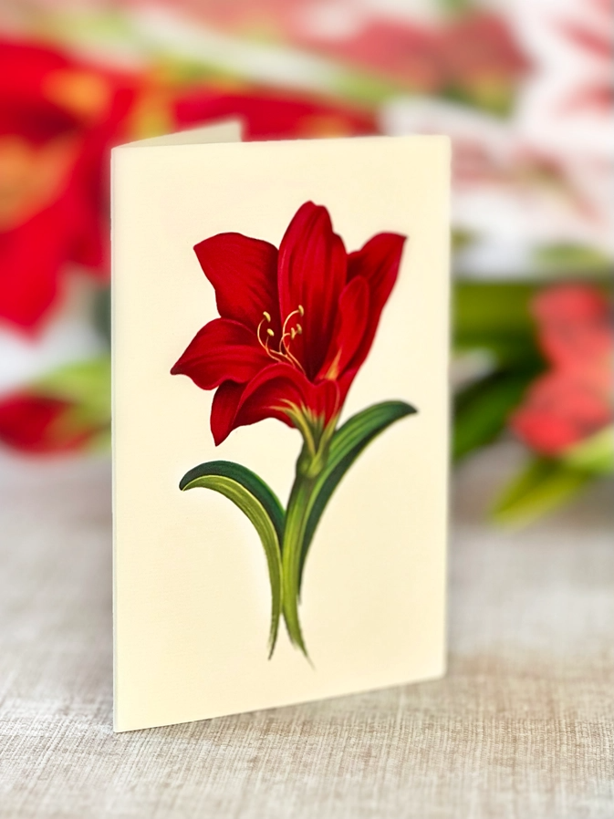 Scarlet Amaryllis - Pop-Up Greeting Card - Mellow Monkey